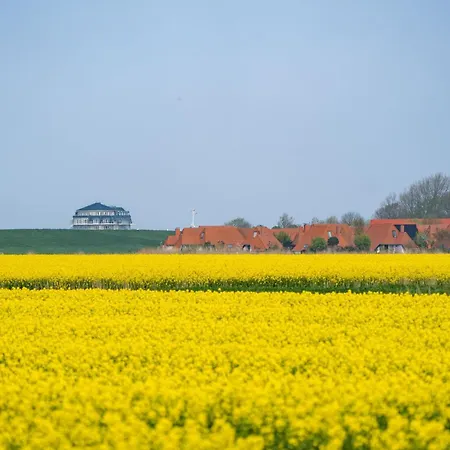 公寓 Lilli Marleen 3-20 *